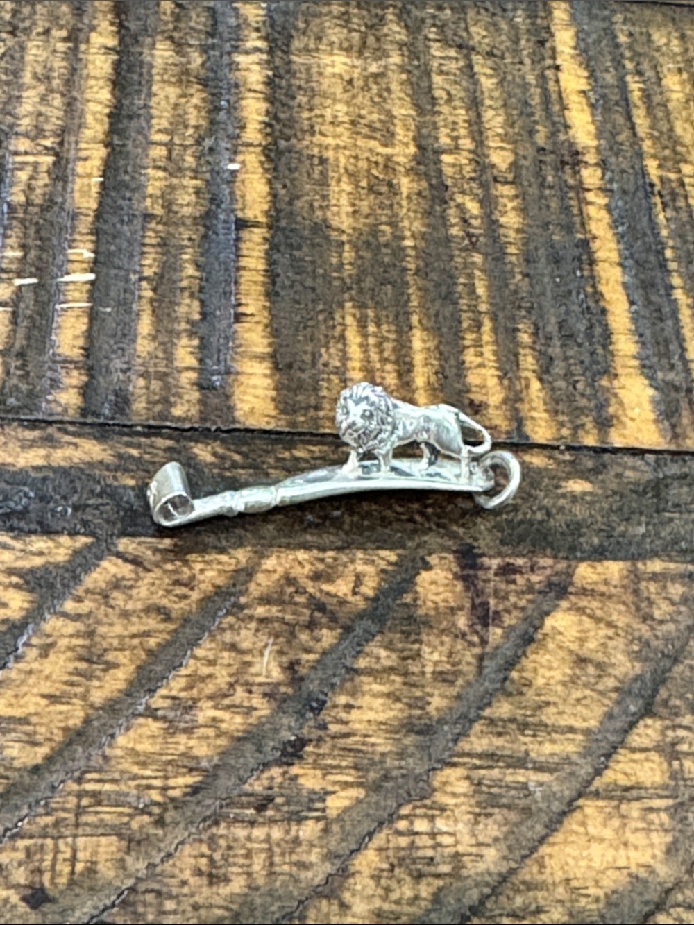 Sterling Silver Lion king Charm Necklace pendant